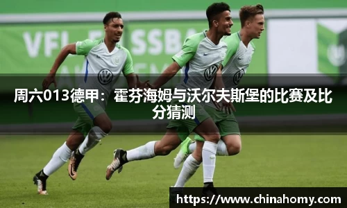 周六013德甲：霍芬海姆与沃尔夫斯堡的比赛及比分猜测